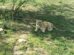 -西安秦岭野生动物园