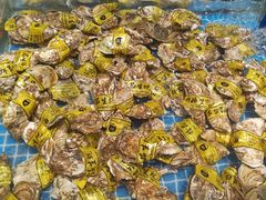 -半岛听涛蒸汽海鲜自助(K11店)