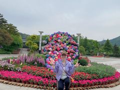 -白马涧龙池景区