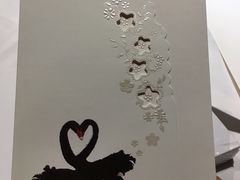 -BLACKSWAN黑天鹅(环球店)