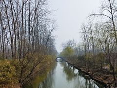 -合肥滨湖国家森林公园