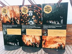 -怀托摩萤火虫洞