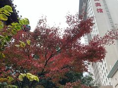 -南京钟山宾馆(江苏省会议中心)