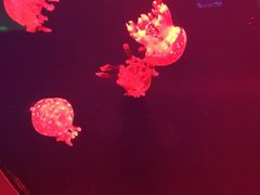 -福州罗源湾海洋世界旅游区