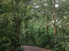 -敬亭山风景名胜区