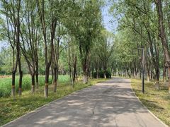 -东郊湿地公园
