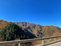 -秦岭风景区