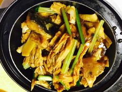-鸽王世家(东华东路店)