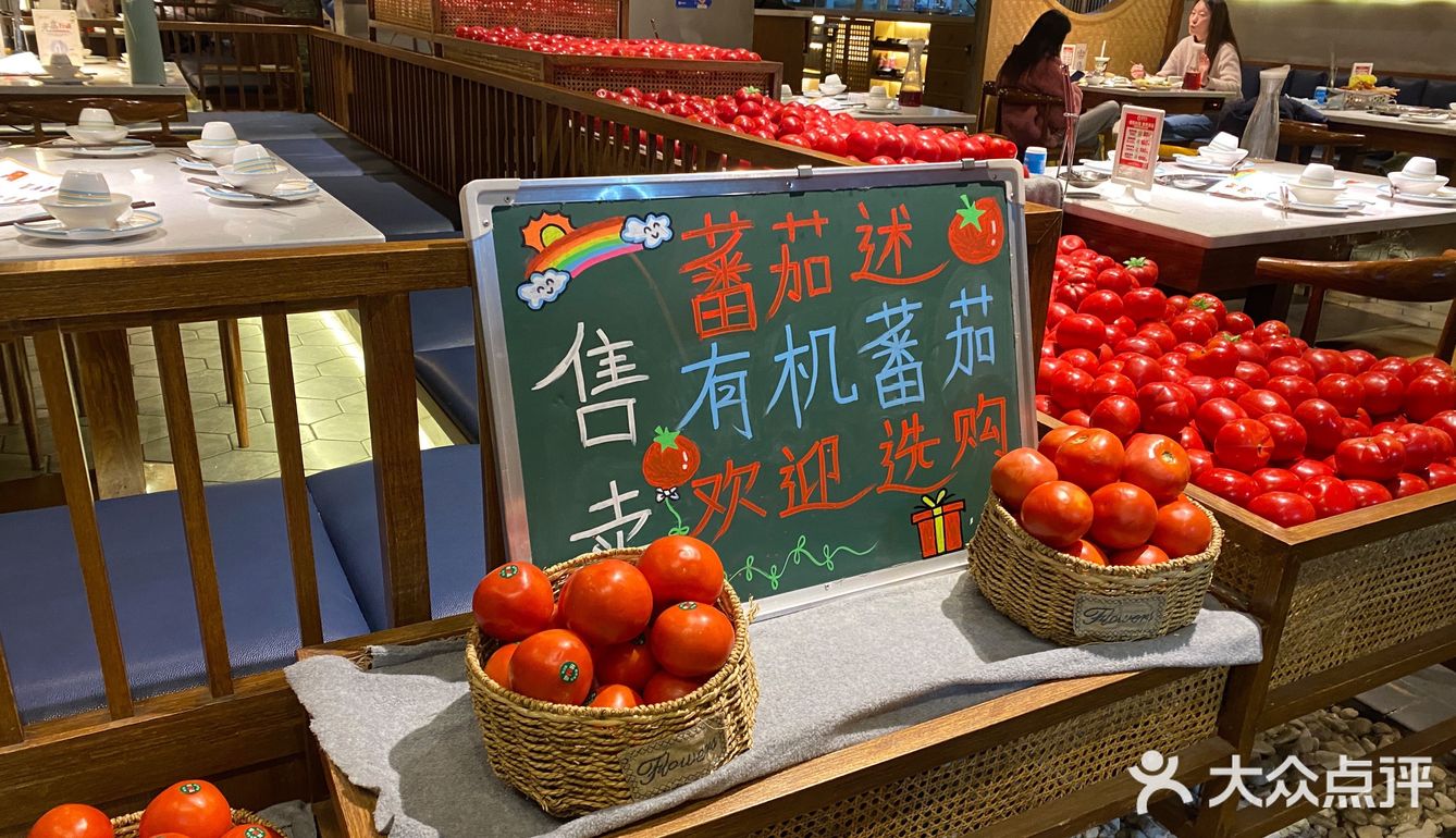 番茄述🍅