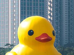 -深圳人才公园