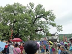 -新安江山水画廊风景区