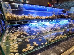 -星伦多自助料理·涮烤一体(奉贤龙湖天街店)