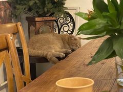 -MIMO CAFE(沙头角店)
