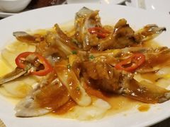 仔姜蒸鱼脸-香云轩·顺德菜(香云纱园林酒店店)