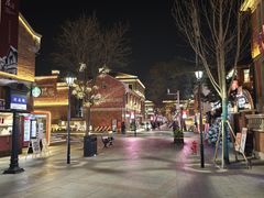 -天津五大道文化旅游区