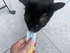 -转山咖啡(松柏社区店)