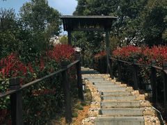 -霁月山房(体育公园店)