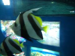 -福州罗源湾海洋世界旅游区