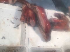 -章云板鸭(总店)