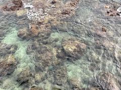 -三亚西岛海洋文化旅游区