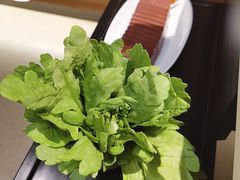 -浩爷羊蝎子火锅(望京店)
