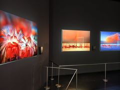 -罗红摄影艺术馆