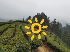 -程阳八寨景区