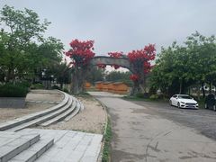 -天适樱花悠乐园