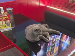 -203密室体验馆·逃脱·聚会·亲子(工体店)