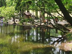 -紫金山山顶公园