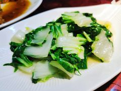 油淋青菜-集贤门·徽菜(南山店)