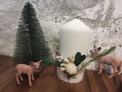-侘寂甜品(自取店)