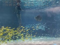 -常州海昌海洋探索馆