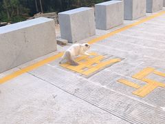 -泉州海丝野生动物世界