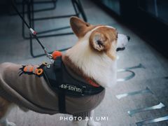 大堂-奎克咖啡Cuiqu(晶品店)