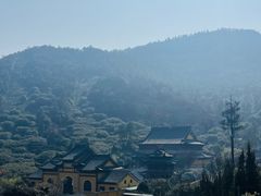 -树山生态村