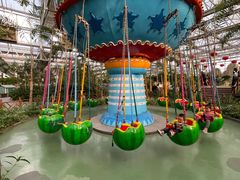 -南宫五洲植物乐园