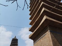 -大德寺双塔