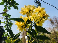 -人民公园(罗湖区)