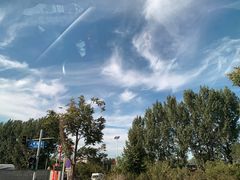 -东郊湿地公园