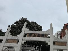 -中山公园(石岐街道)