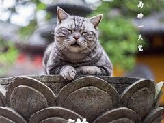 -龙华寺