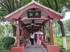 -金银湖国家城市湿地公园