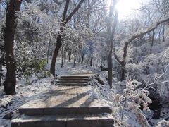 -紫金山山顶公园