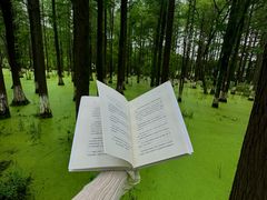-艾溪湖湿地公园