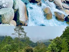 -海南热带雨林国家公园吊罗山景区