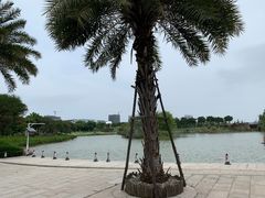 -琅岐红光湖公园