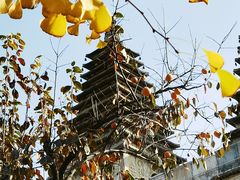 -北京石刻艺术博物馆(五塔寺)