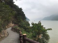 -羚羊峡古栈道森林公园