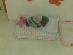 -爱宠屋pet shop·宠物洗澡·宠物美容